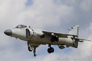 MH01_486 British Aerospace Sea Harrier F/A.2 C/N XZ439, N94422